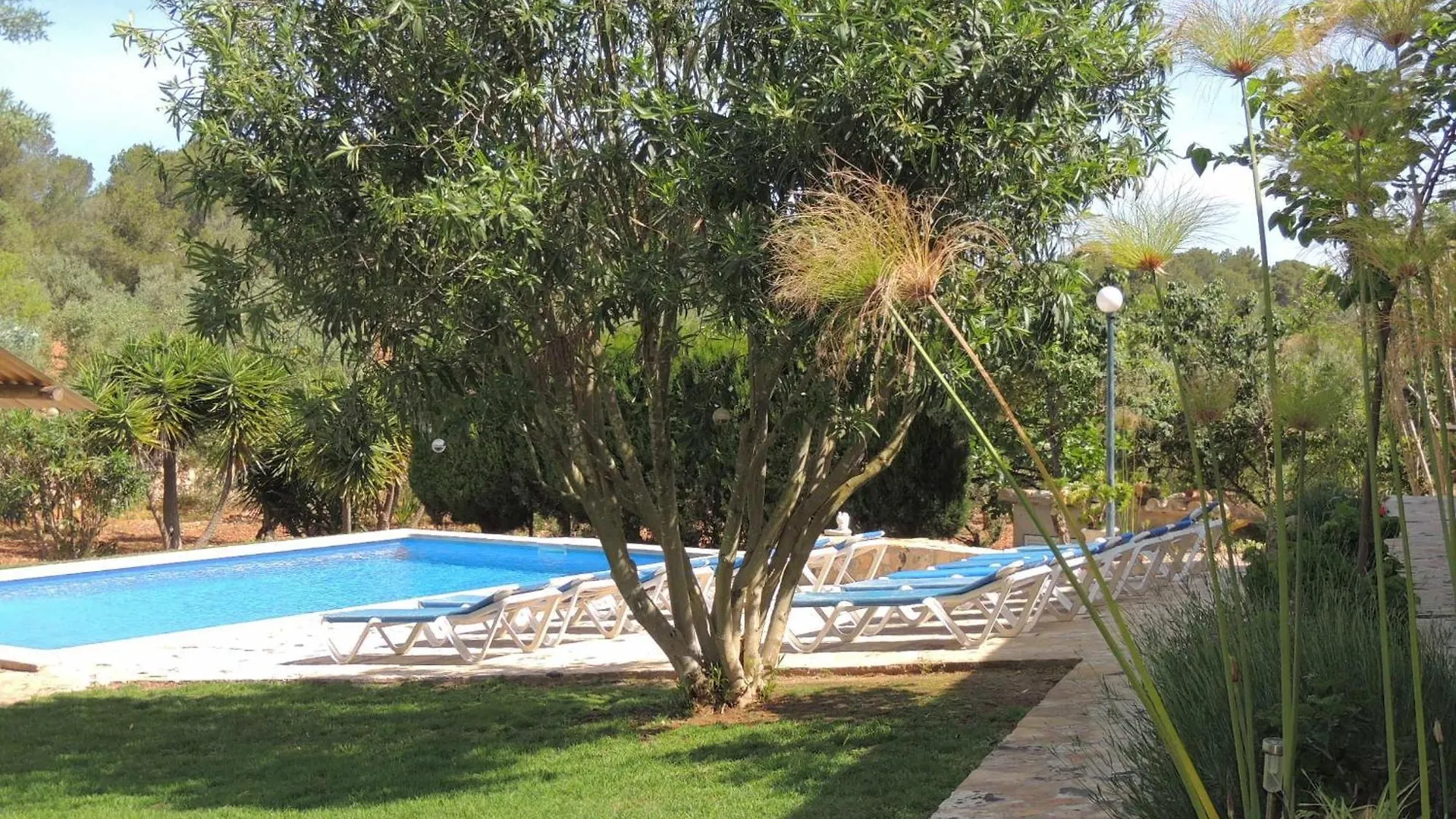 Дом отдыха Villa Bosque Кала-Блава